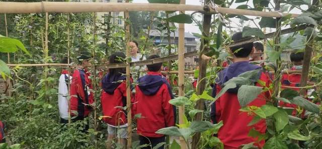 四川省民生研究会新媒体中心-官网