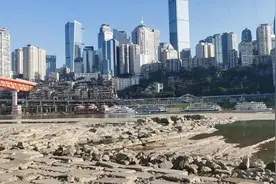 骨折手术做了内固定 钢板需要取出么 不取内固定的钢板会怎么样图片