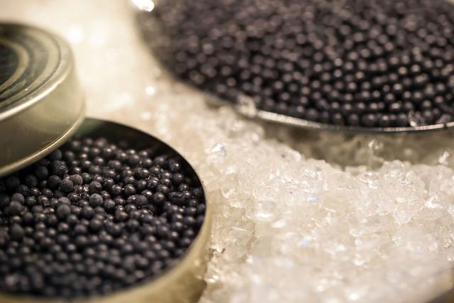 世界上最贵的食用鱼 2026年世界上最贵的食用鱼排名