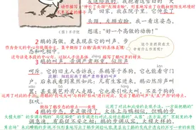四年级语文下册第15课《白鹅》课堂笔记，提前预习，建议收藏分享图片