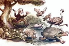 达尔文错了？螃蟹竟在地球上出现了5次，相同形式为何不断出现？图片