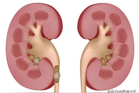 一个人人用的起的生精方，简单两味药，养肝精、补脾精、填肾精图片