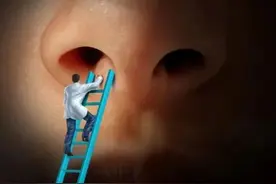 “嗅觉失灵”的关键机制找到了！专家教你如何改善不适症状图片