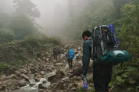 四川禁地“黑竹沟”，活物靠近有进无出，最后政府科考队解密真相图片