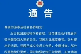 重庆动物园回应“被指区别对待动物”图片