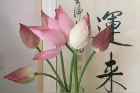 特别佛系的朋友圈文案//别慌，月亮也在大海某处迷茫图片