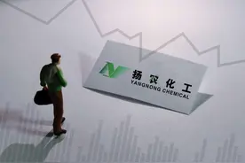 扬农化工：内生与外延并举夯实龙头地位，母公司赋能助力长期发展图片