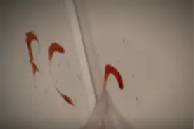 美国空姐离奇被害，而案发现场却惊现3个血字母，这究竟代表什么图片