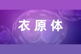 衣原体感染——原因、症状、治疗及预防图片