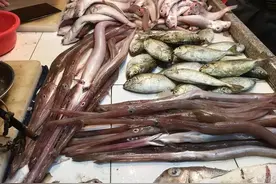 入伏后，遇到这5种鱼我从不讲价，可遇不可求！营养极高又美味图片