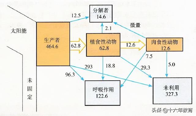 高中生物重要生化知识图解记忆（建议收藏）