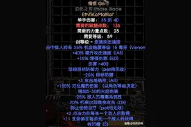 暗黑2属于双热圣骑士的最强装备搭配，完美诠释了何为战士图片