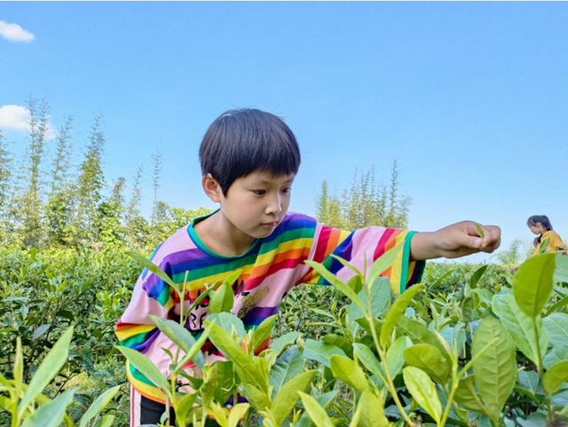 四川省民生研究会新媒体中心-官网