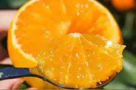 浙江省台州市红美人柑橘的特性及优质丰产栽培技术图片