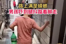 蟑螂集体出街，男孩被吓到腿抖，网友：太可怕了，我会窒息的图片