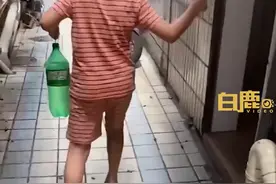 蟑螂集体出街，男孩被吓到腿抖，网友：太可怕了，我会窒息的图片