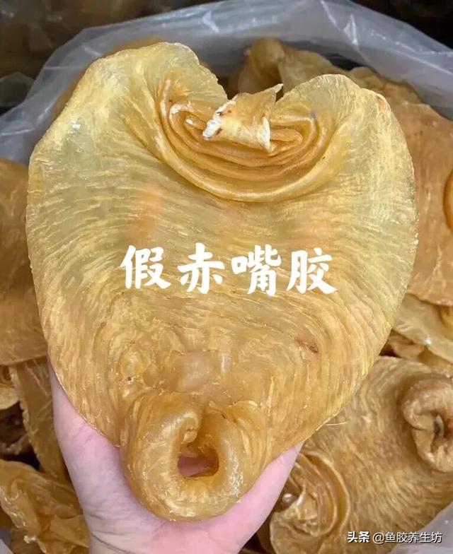 四大赤嘴鱼胶排名 赤嘴鱼胶产地哪里?最好