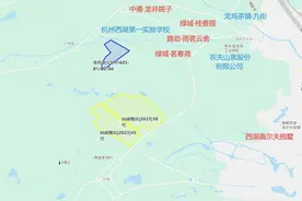 风景如画、新房限价45500元/㎡的龙坞，最新宝地探营图片
