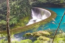 小区门口闷声发财的8个生意？图片