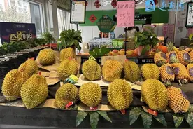 频频出现质量问题，“国产榴莲”大翻车！海南要背这个锅吗？图片