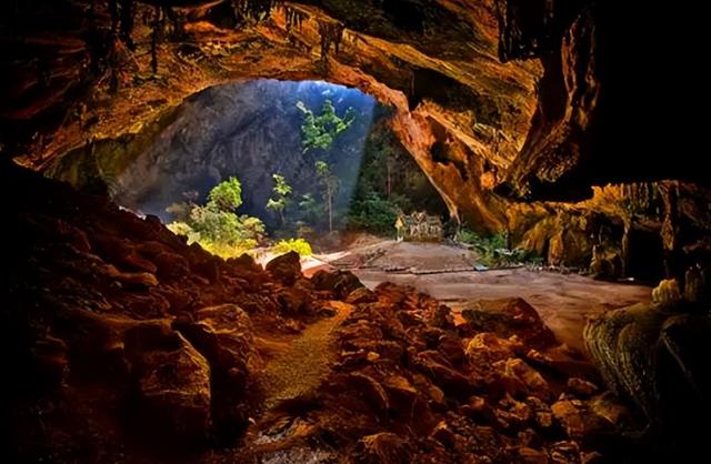 除12年一次的交配，其它时间都基本静止，它们是地球上最懒的生物