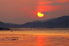 又一中国最美！是时候去这座被温州人私藏的隐世岛屿，大吃一顿了图片