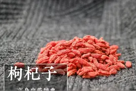 枸杞子（补阴药）图片