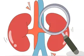 补肾不健脾，一场空欢喜，送你一个中成药，脾肾双补身体好图片