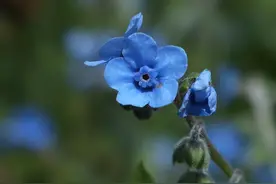 不管是谁，跟你断联很久又突然来找你，一般只有三种目的图片