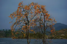 乳腺结节微创手术过程图片