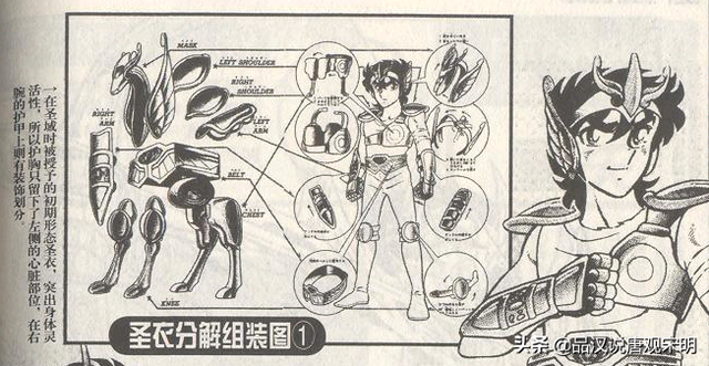 洛克王国华贵天鹅超进化（圣斗士星矢五次圣衣进化史从土气的青铜到华贵的神圣衣之路）