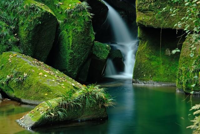 战友，战友向雅安（4）