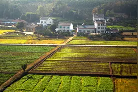 2022年农村土地“统一耕种”能否实现？2个新趋势，农民需了解图片