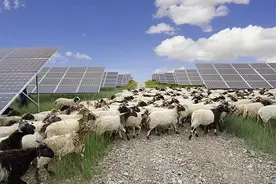 光伏产业，不仅是能源图片