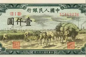 人民币竟然有壹仟元的面值，第一版人民币壹仟圆秋收暗记有哪些？图片