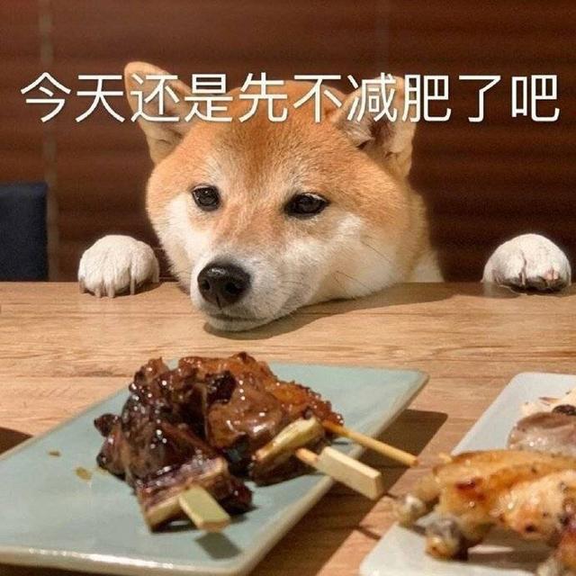 被“宠着长大”的狗,这几个特征很明显