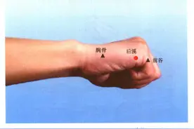 手太阳小肠经经穴——后溪穴图片