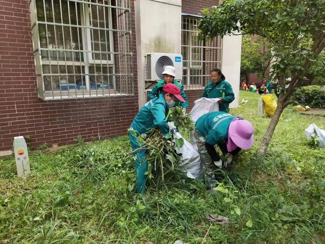 东湖新技术开发区豹澥街分类专班黄金堂社区开展清洁家园活动