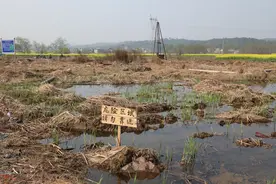 31家温泉店非法取水，关停！图片