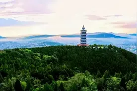 11家景区！淄博这些人免门票图片