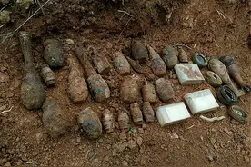 二战后地下还有1亿颗地雷，人工排雷需4千年，现被一种老鼠搞定图片