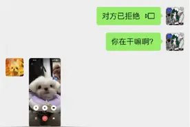 假如小狗有微信是种什么体验？啊啊啊修勾拯救世界图片