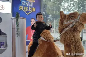 【消费者说】坚持喝纯驼奶3年，结果怎么样？图片