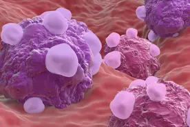 一碗养膜汤补肾填精、温经通络，调理子宫内膜薄，提高妊娠率图片