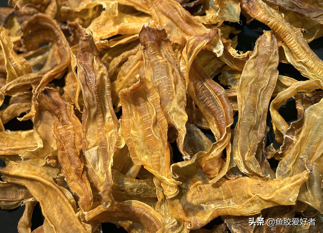 安南鱼胶与北海鱼胶哪个品种好 安南鱼胶和北海鱼胶 那种好