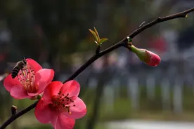 很想念一个人，却不联系，莫过于这几个原因图片