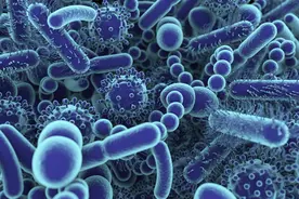 科普6：微生物（细菌、病毒、类病毒）的分类图片
