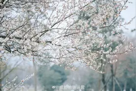 这个公园的花美出天际！乘坐地铁4号线即可前往→图片