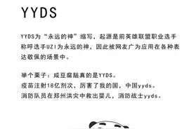 梗百科——YYDS图片