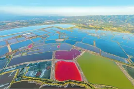 这里最早叫中国：全国唯一一座因盐而筑造的专务之城图片